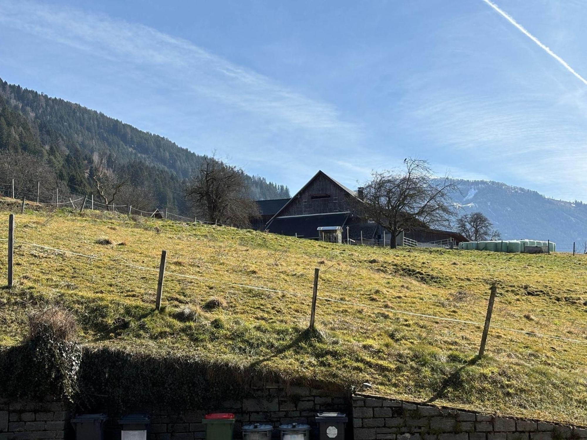 Moderne-Ferienwohnung-Nur-1Km-Vom-Millstaetter-See-In-Kaernten-Entfernt Мильстат Экстерьер фото