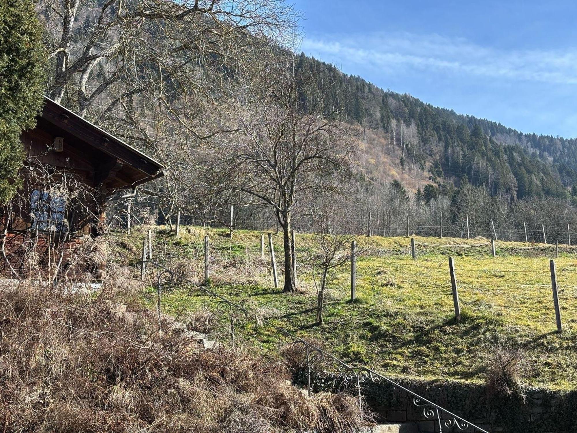 Moderne-Ferienwohnung-Nur-1Km-Vom-Millstaetter-See-In-Kaernten-Entfernt Мильстат Экстерьер фото